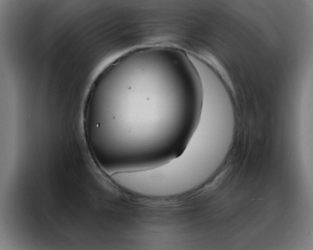 X0000088221336200705221756