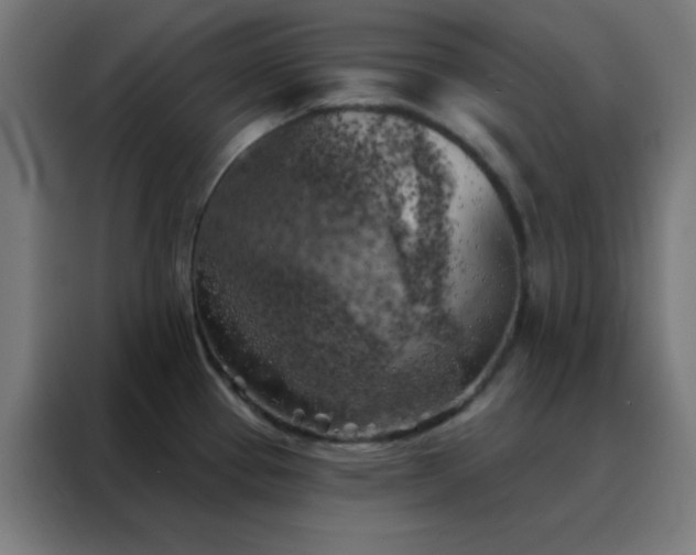 X0000088221337200705221756