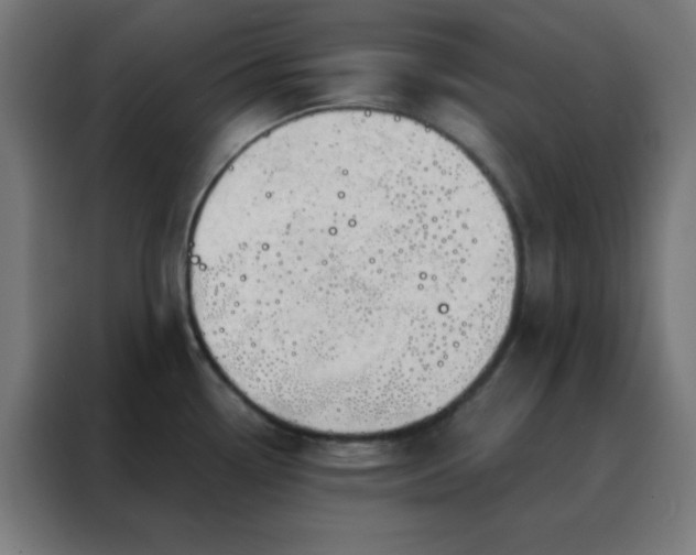 X0000088221338200705221756