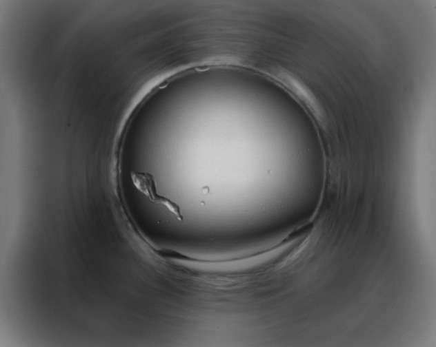 X0000088221340200705221756