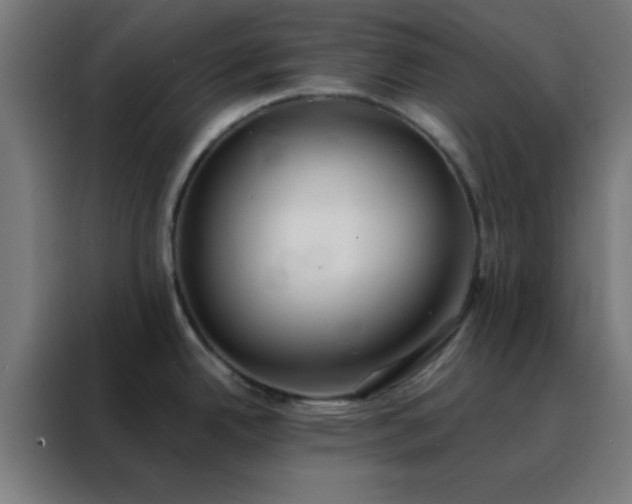 X0000088221342200705221756