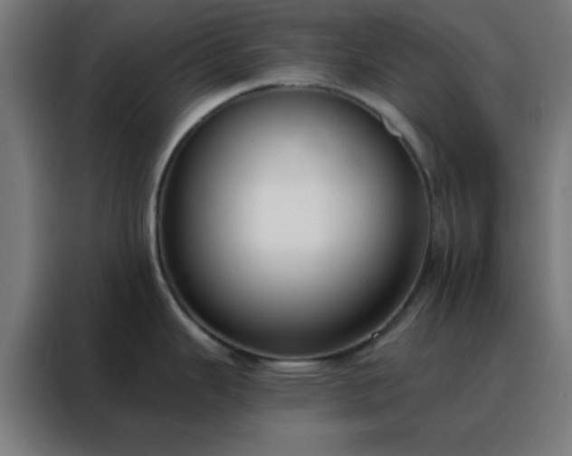 X0000088221343200705221756