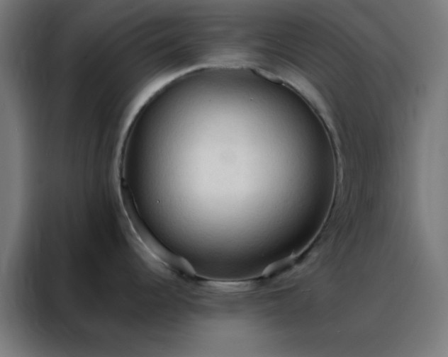 X0000088221344200705221756