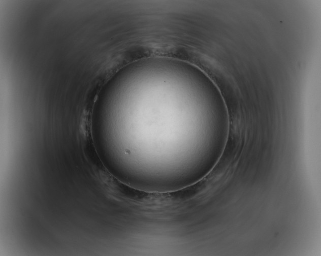 X0000088221346200705221755