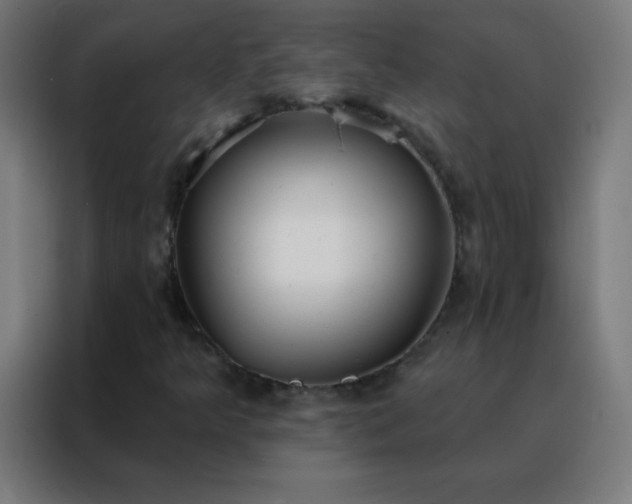 X0000088221349200705221755