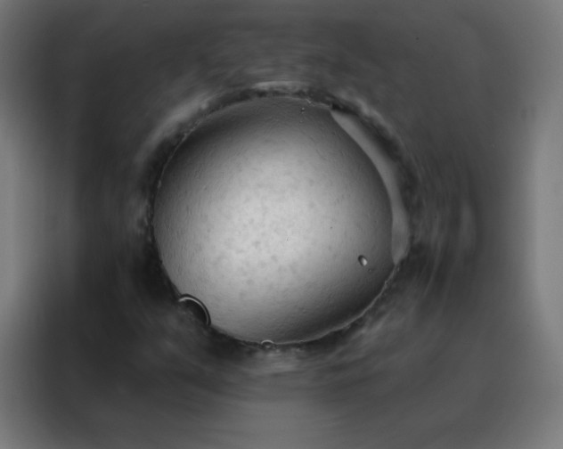 X0000088221351200705221755