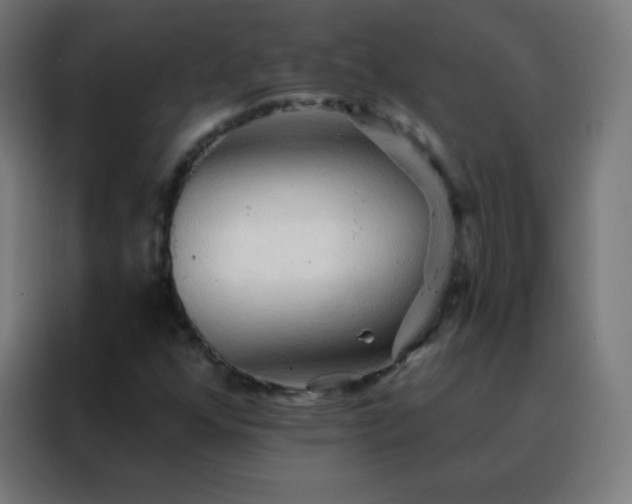 X0000088221352200705221755