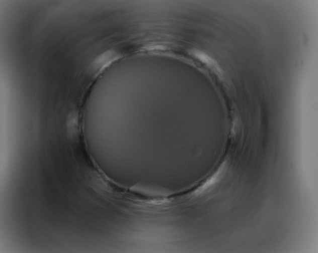 X0000088221353200705221755