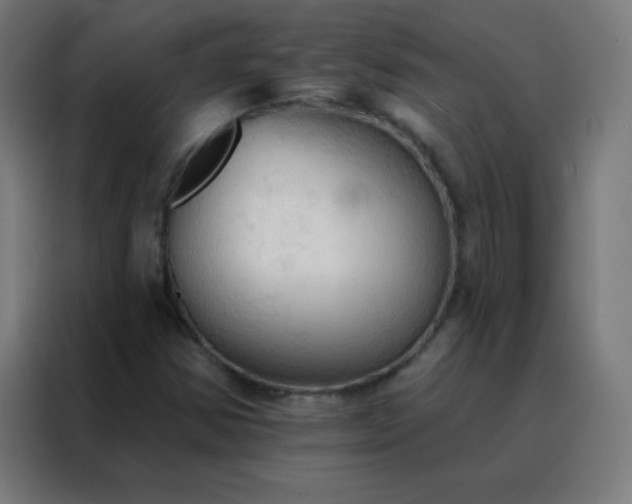 X0000088221354200705221755