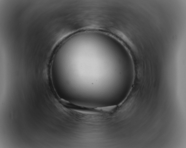 X0000088221356200705221755