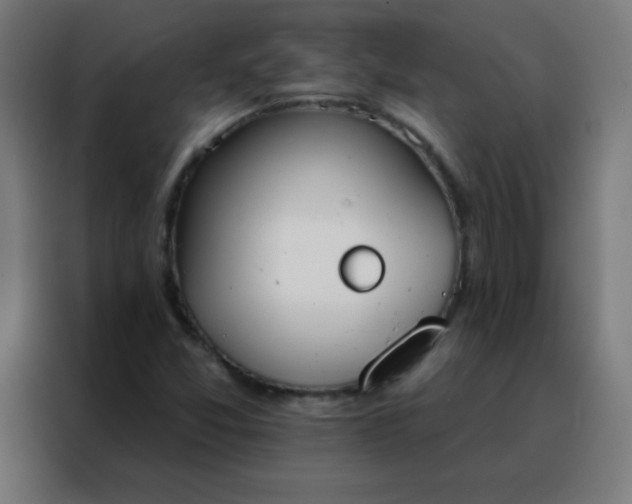 X0000088221357200705221755