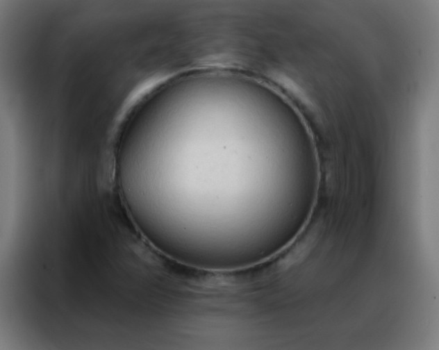 X0000088221358200705221755