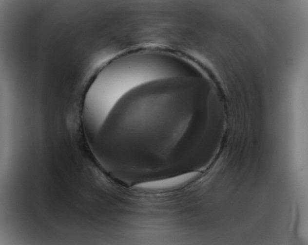 X0000088221359200705221755