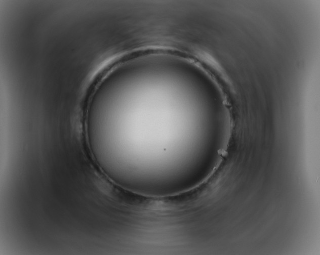 X0000088221360200705221755