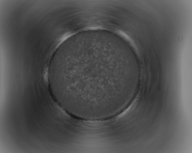 X0000088221361200705221755