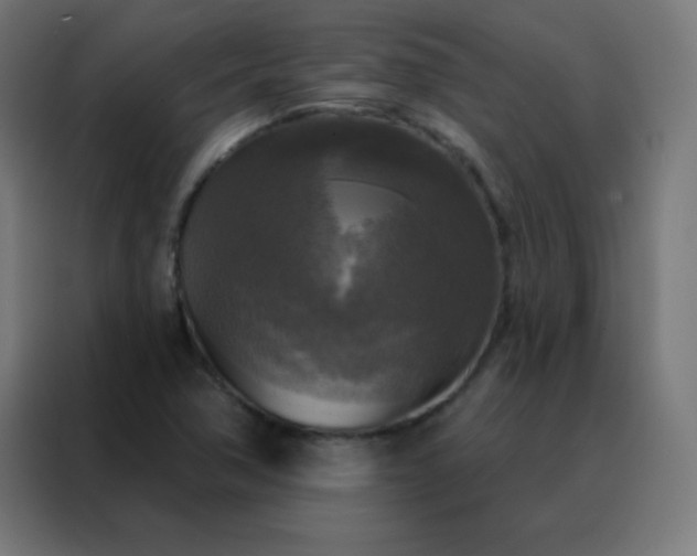 X0000088221362200705221755