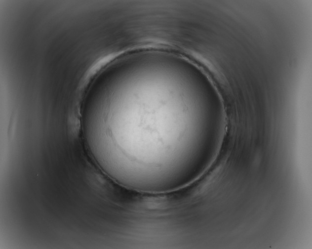 X0000088221363200705221755