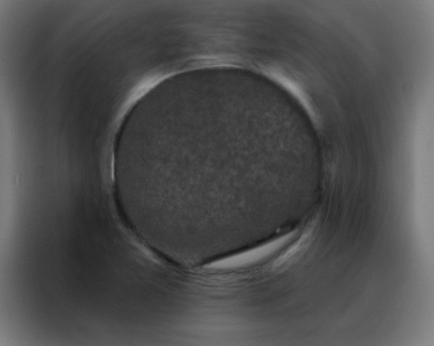 X0000088221365200705221755