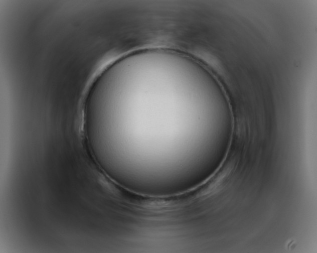 X0000088221366200705221755