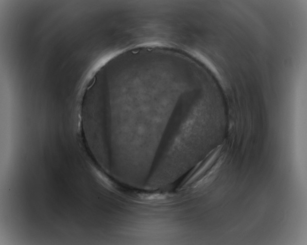 X0000088221367200705221755