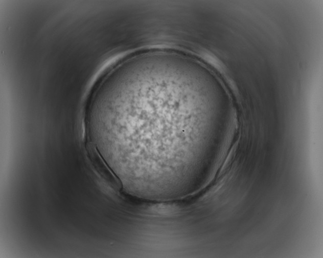 X0000088221368200705221755