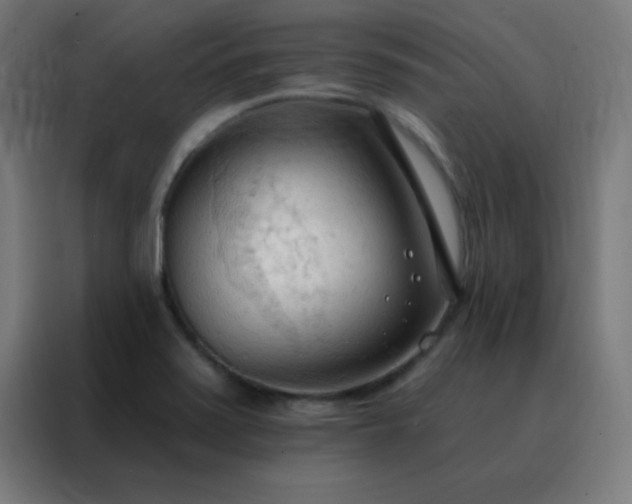 X0000088221371200705221755