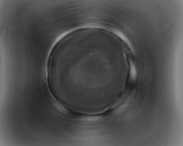 X0000088221372200705221755