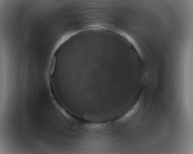 X0000088221373200705221755