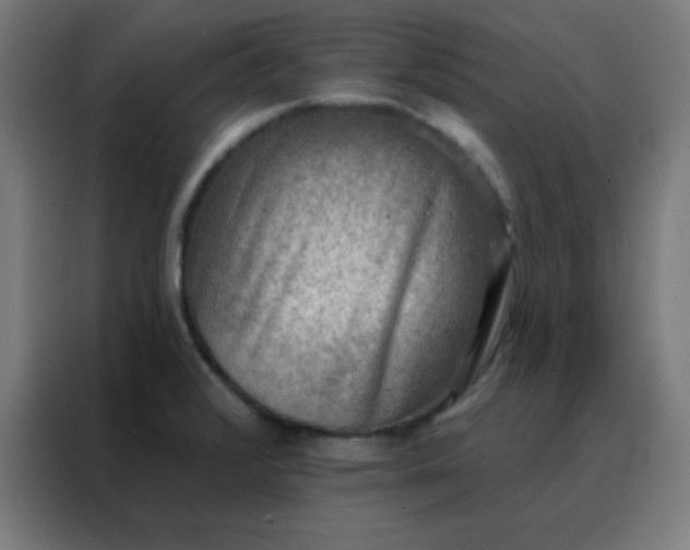 X0000088221376200705221755