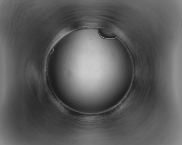 X0000088221378200705221755