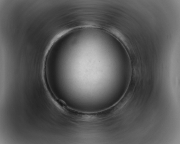 X0000088221379200705221755