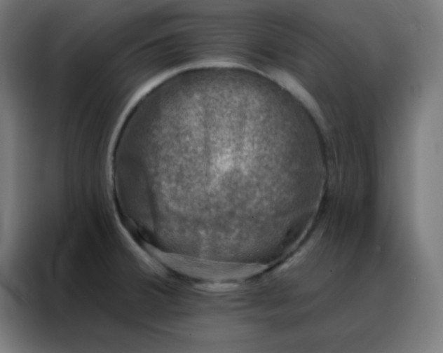 X0000088221380200705221755