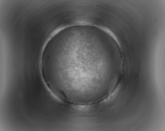 X0000088221381200705221755