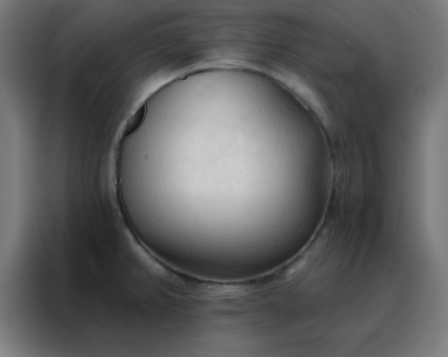 X0000088221382200705221755