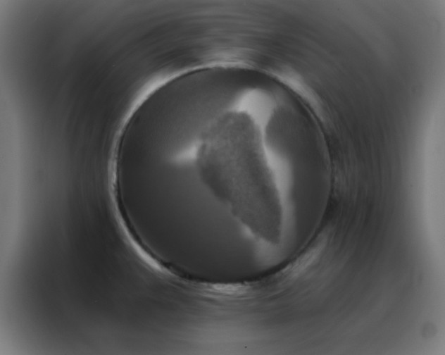 X0000088221383200705221755