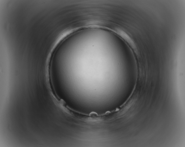 X0000088221384200705221755