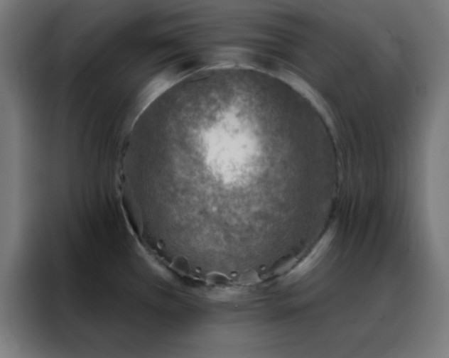 X0000088221385200705221755