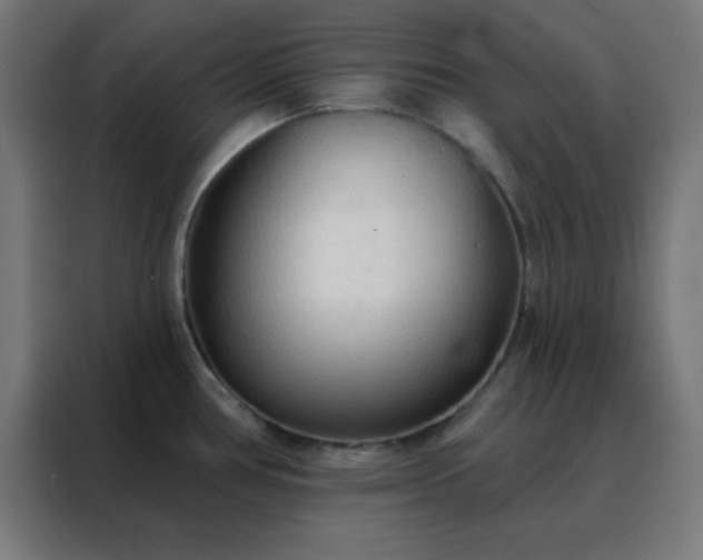 X0000088221386200705221755