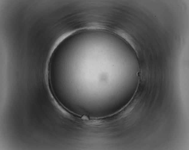 X0000088221387200705221755