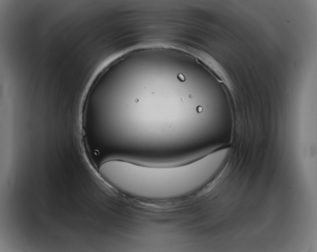 X0000088221388200705221755