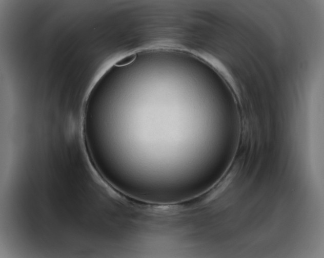 X0000088221390200705221755