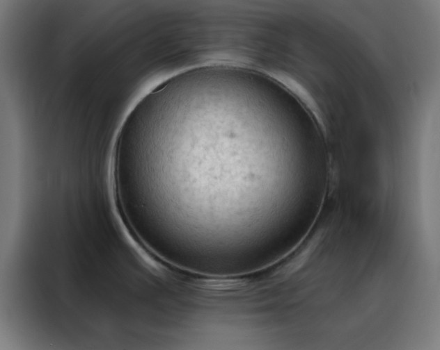 X0000088221391200705221755