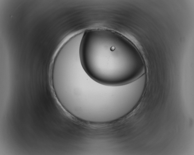 X0000088221392200705221755