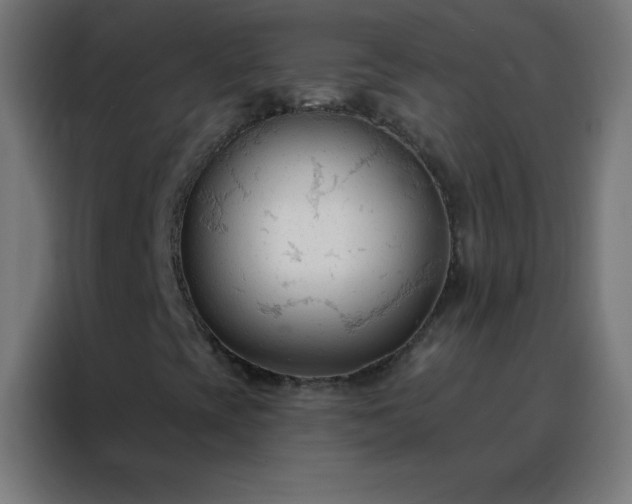 X0000088221393200705221754