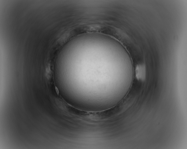 X0000088221395200705221754