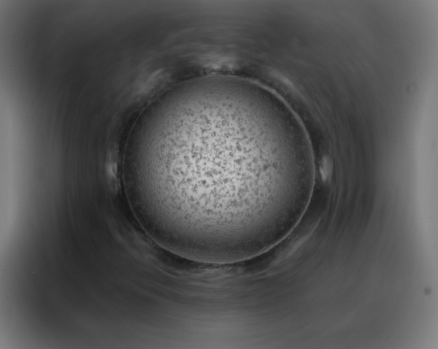 X0000088221396200705221754