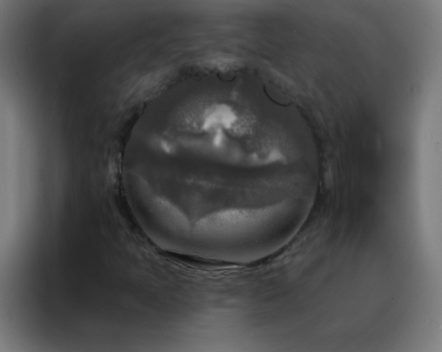 X0000088221397200705221754