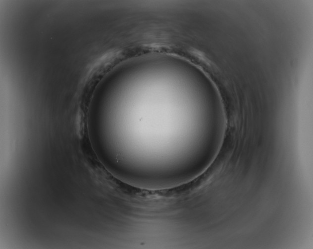 X0000088221398200705221754