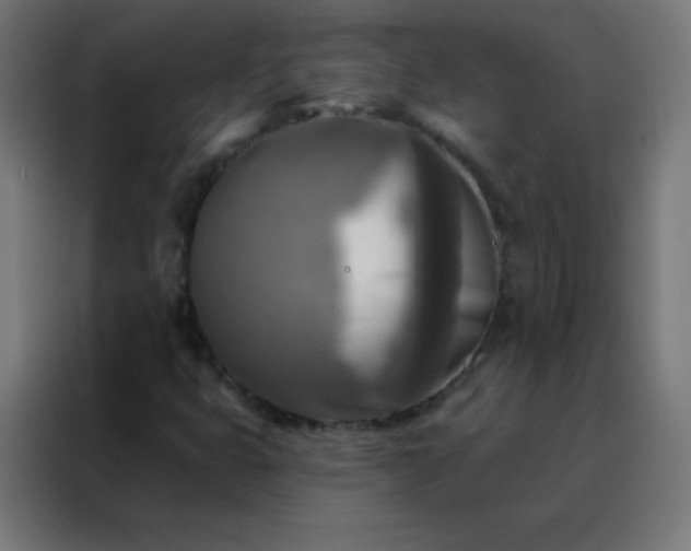 X0000088221399200705221754