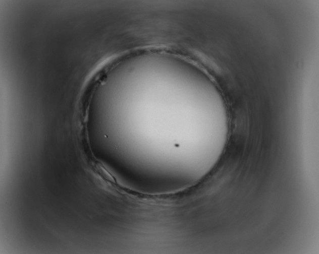 X0000088221400200705221754